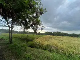 Tanah Super. Area Pantai kelecung. Tabanan.