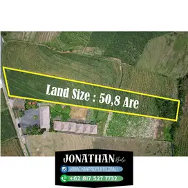 For Sale: Prime Land Near Pantai Klecung