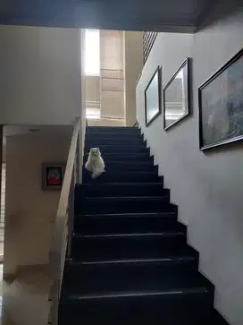 Dijual Rumah Di Singgasana Mewah Keren di Kawasan Elite Bandung