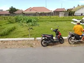 DIJUAL TANAH SAWAH DEKAT PASAR CEBONGAN BU