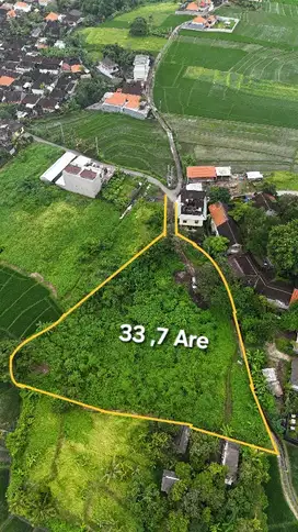 JUAL TANAH CEMAGI KUNING DEKAT PANTAI, Luas 33,70 are Rp 1,150M /are