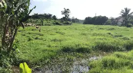 Jual Tanah Di Desa Serdang Wetan, Legok - Tangerang, Banten