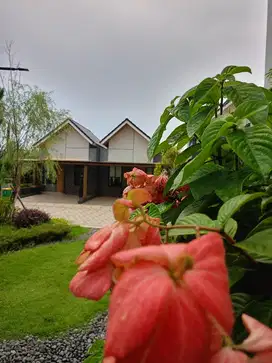 Rumah 1 lt, cicil DP KPR