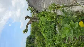 Tanah dengan pemandangan (view laut).di goa gong jimbaran