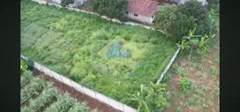 Disewakan Tanah di Desa Dangdang, Cisauk - Tangerang, Banten