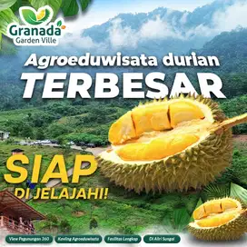 Kavling Durian Terbesar di Bogor Timur