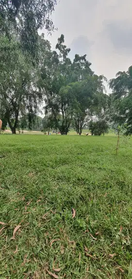 Jual Kavling Karawang Bukit Golf Sedana KIIC Palm Spring Karawang Brt
