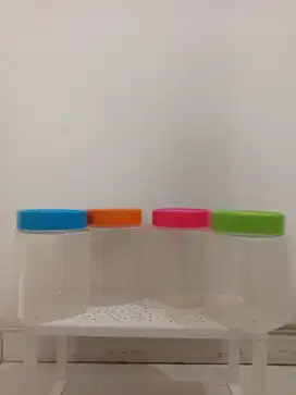 Toples warna warni Lion Star