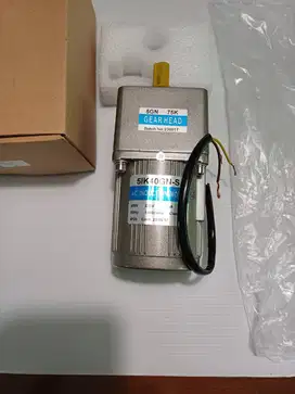 AC  Induction Motor 5IK40GN-S (40 Watt - 220V)