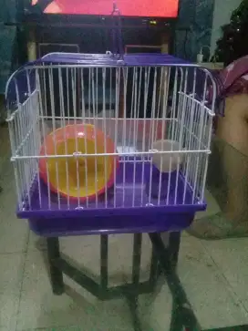 Kandang hemster ukuran 20x20cm.