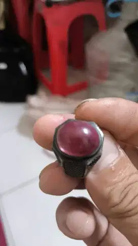 kecubung rambut merah kalimantan