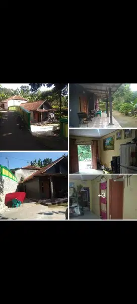 jual rumah kampung Ciampea