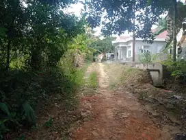 Tanah Murah di Tengah Kota Jambi