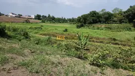 Dijual Tanah Kosong di Jalan Petunia Raya (Dekat RS Adam Malik)