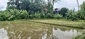 Disewakan tanah 40 are jl Ahmad Yani Utara Peguyangan Denpasar Bali