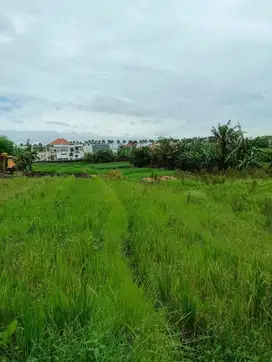 Tanah Tumbak Bayuh Pererenan Mengwi Badung