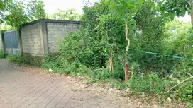 jual tanah murah