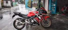 Kawasaki ninja rr 2013 special edition