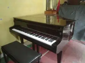 Jual Piano Classic Grand Murah