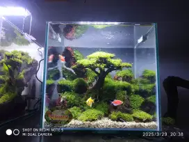 Aquascape aquarium air terjun pasir