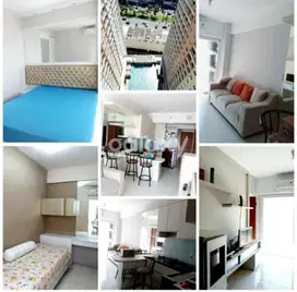 Apartemen Puncak Darmo Golf 2 BR Furnished