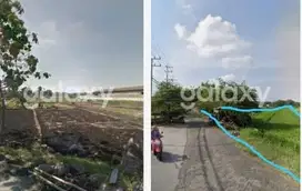 TANAH O JALAN DRIYOREJO GRESIK