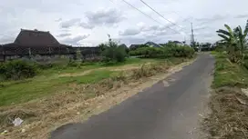 VIEW SAWAH CANTIK: 10 Menit Tugu Jogja, Area Jambon Trihanggo