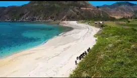 Di jual tanah 5 are 10 are dekat pantai lancing lombok tengah