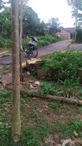 kami Tawarkan Tanah berbentuk kebun di Gunungpati