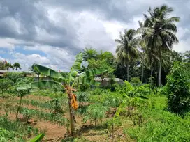 DIJUAL CEPAT TANAH SHM DEKAT AKMIL MAGELANG