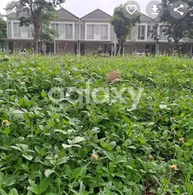 MURAH TANAH GRAND PAKUWON. CLUSTER CANBERRA.