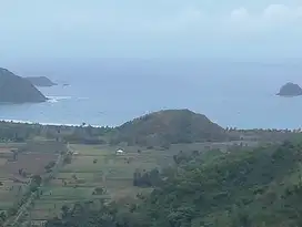Di jual tanah 28 are di Jabon desa Selong belanak Lombok tengah