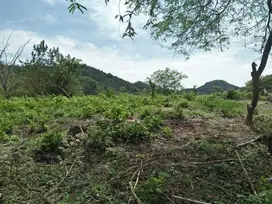 Di jual tanah 93 are view laut Selong belanak lombok tengah