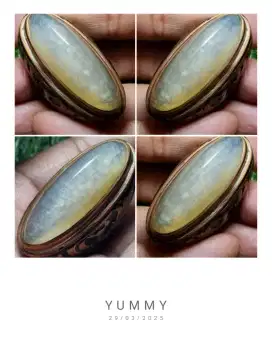 Pandan kapas lawas naik lumut
