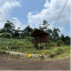 Tanah murah di cisarua puncak bogor
