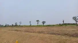 Tanah Industri Boyolali