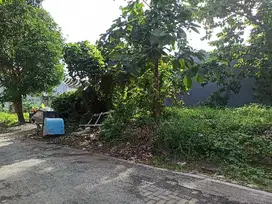 Tanah dekat banget sama UNDIP, cocok untuk kos