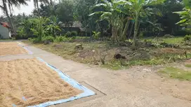 Tanah Pekarangan Temon, 5 menit ke Bandara Yogyakarta