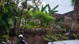 Tanah Tunjungsekar Lowokwaru Malang Kota Ikan Gurami Dijual murah B.U