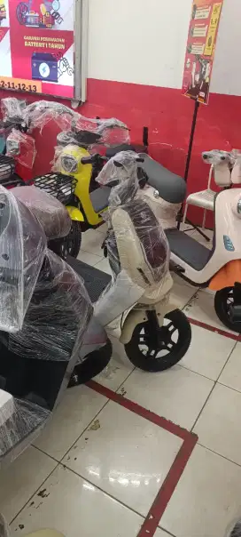 Selis exotic X-660