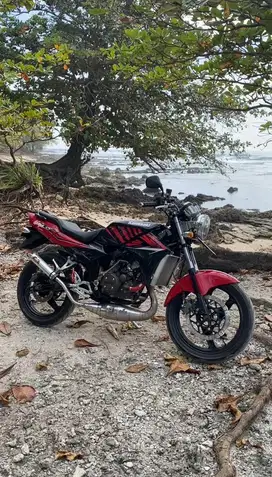 Kawasaki ninja 150
