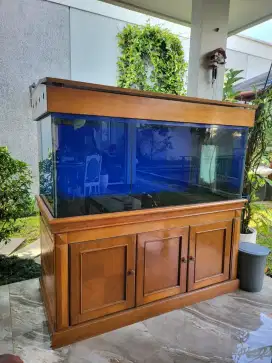 Jual Akuarium Ikan