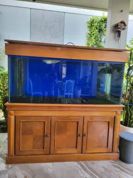 Jual Akuarium Ikan