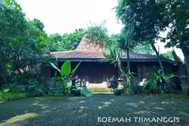 Jk279.Rumah Gebyok Djawa MURAH Area Jl Pekapuran Cimanggis Depok