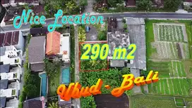 Affordable 290 sqm in Sukawati Ideal for Private House