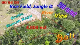 Affordable 4,850 sqm Semi Rectangle in Penebel Tabanan