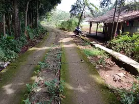 Tanah pekarangan 3.285m² muka 25m jln 5m, 1/2 Km dari jalan propinsi