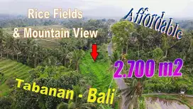 Under Market Price 2,700 sqm in Penebel, Tabanan
