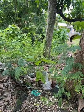 Dijual Tanah Kavling Strategis Siap Bangun Di Goa Gong Kutuh