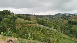 tanah dekat dago resort cocok untuk villa resort atau cafe view bagus